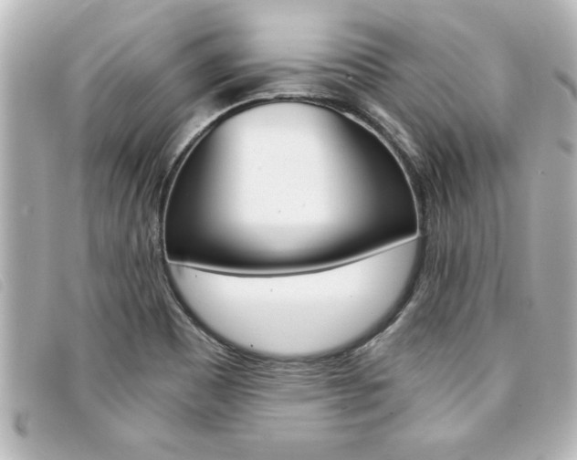 X0000094201465200710260902