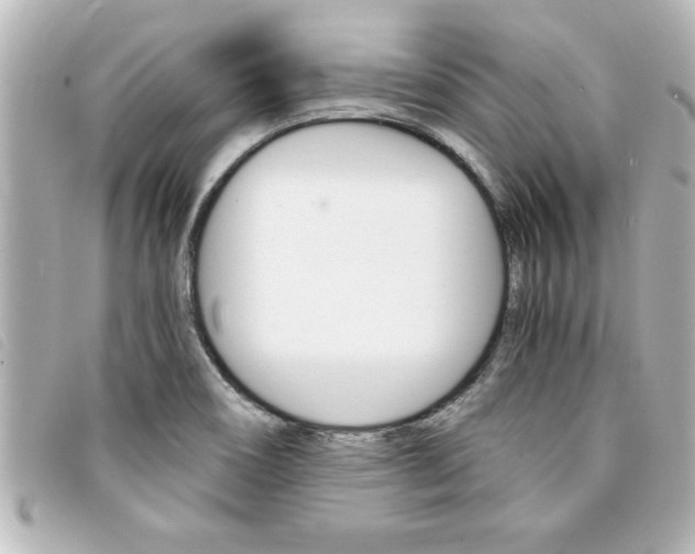 X0000094201466200710260902