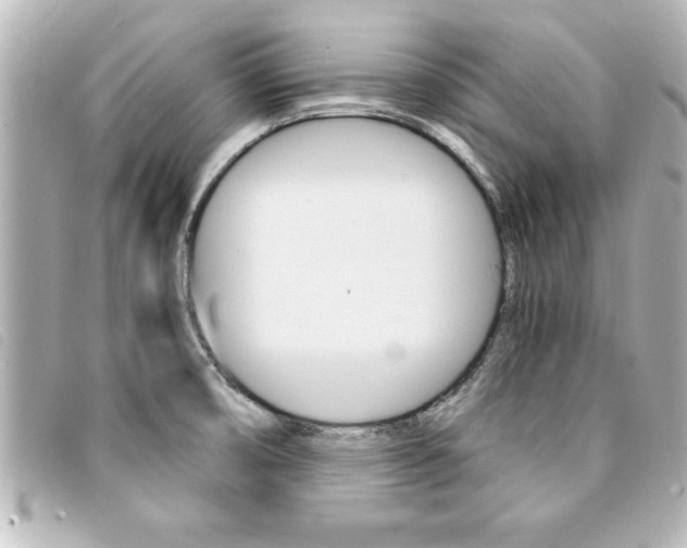 X0000094201474200710260902