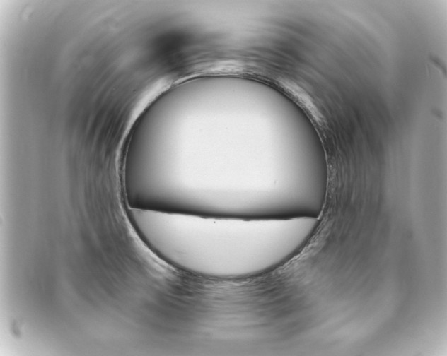 X0000094201475200710260902