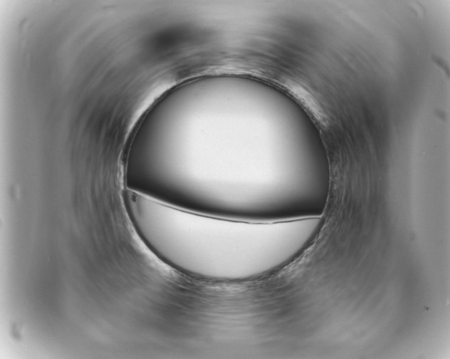 X0000094201476200710260902