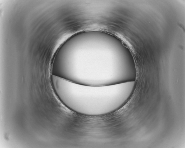 X0000094201477200710260902