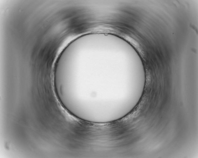 X0000094201478200710260902