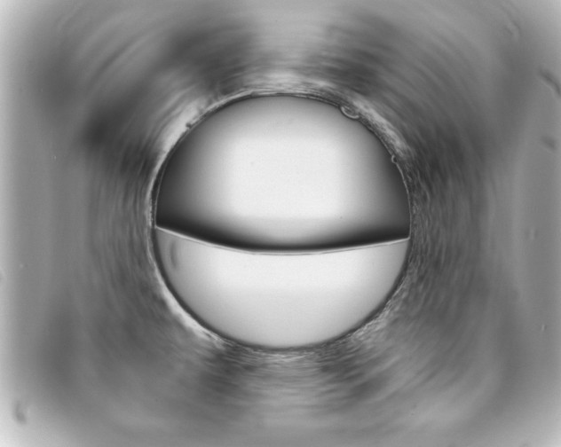 X0000094201479200710260902