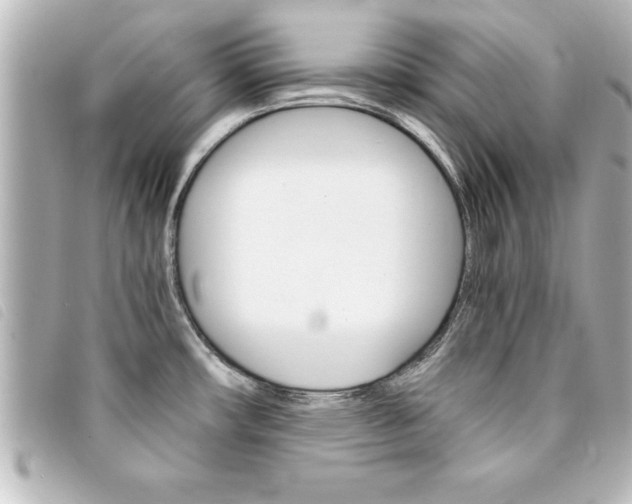X0000094201482200710260902