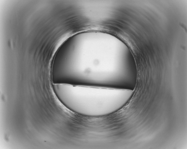 X0000094201483200710260902