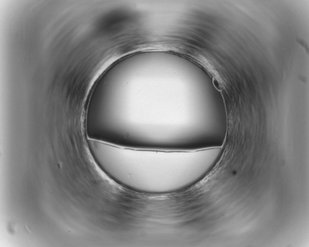 X0000094201484200710260902