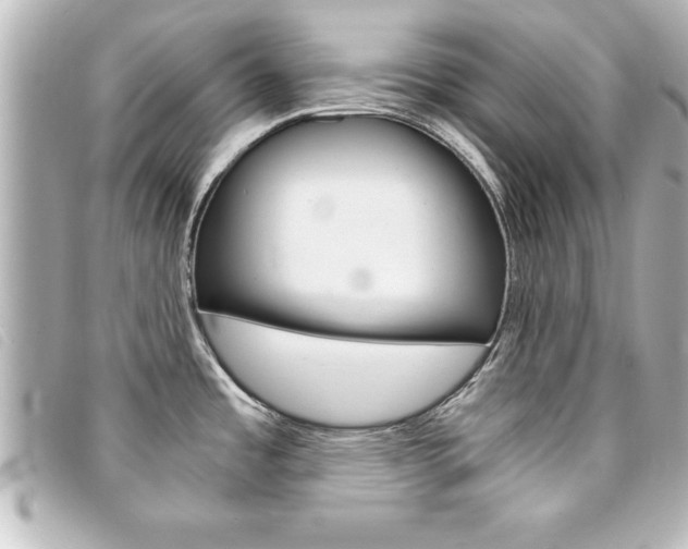 X0000094201485200710260902