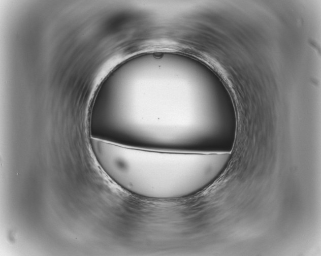 X0000094201488200710260902