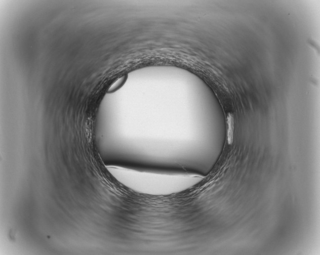 X0000094201491200710260901