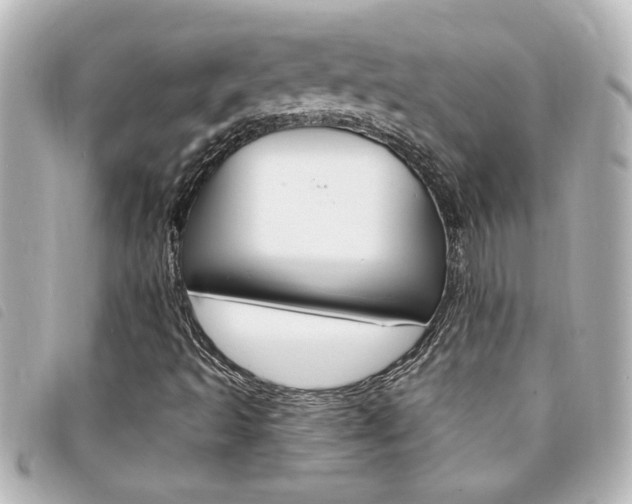X0000094201493200710260901