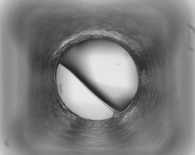 X0000094201494200710260901