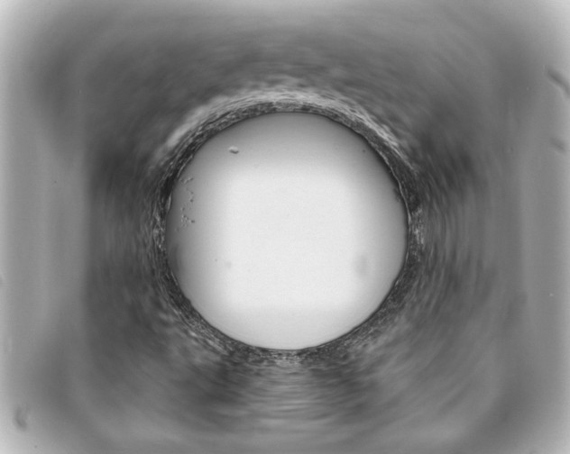 X0000094201495200710260901