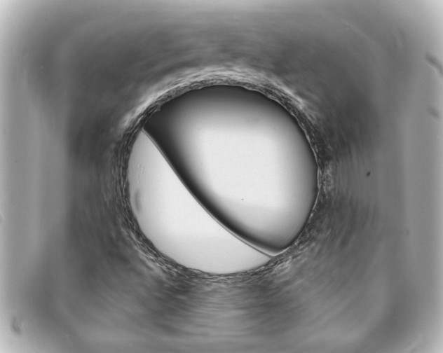 X0000094201496200710260901
