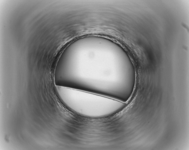 X0000094201497200710260901