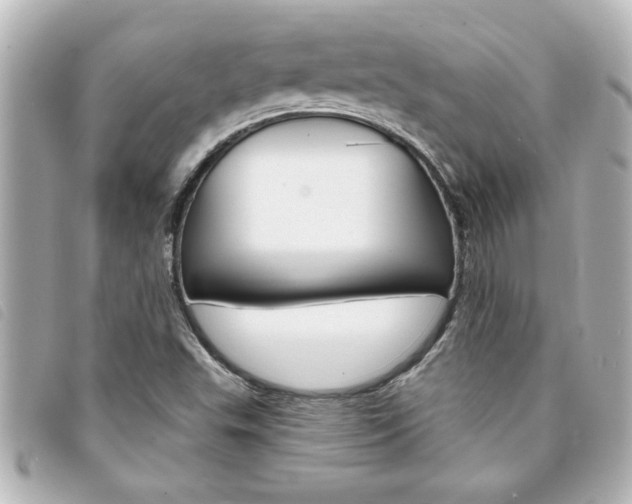 X0000094201503200710260901