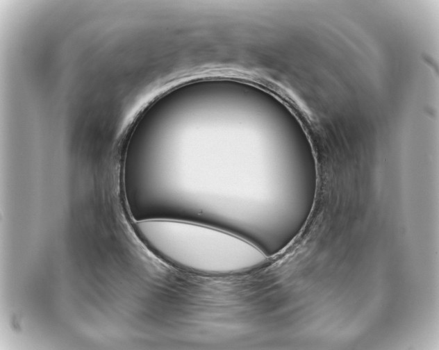 X0000094201504200710260901