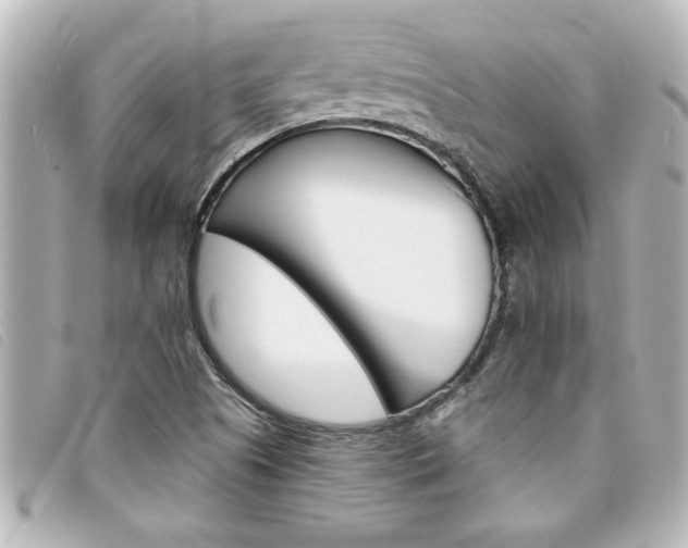 X0000094201505200710260901