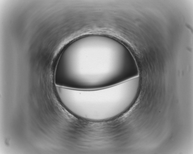 X0000094201506200710260901