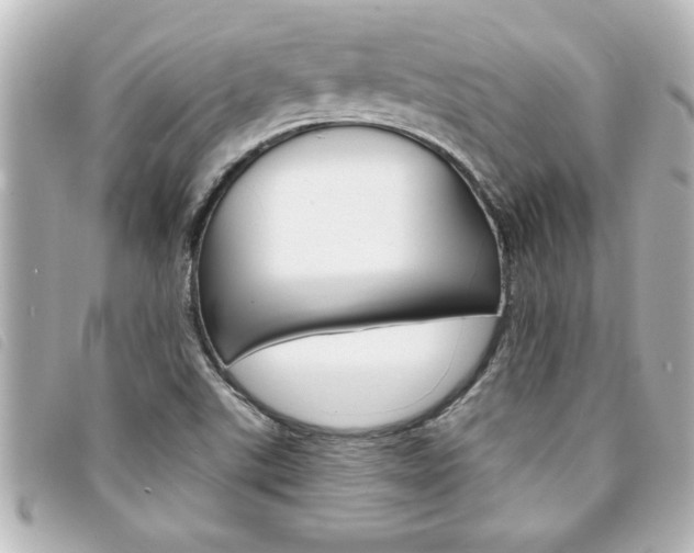 X0000094201507200710260901