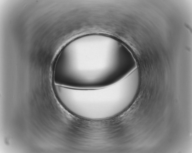 X0000094201508200710260901