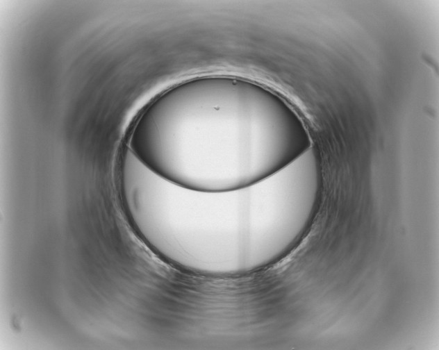 X0000094201510200710260901