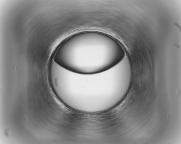 X0000094201511200710260901