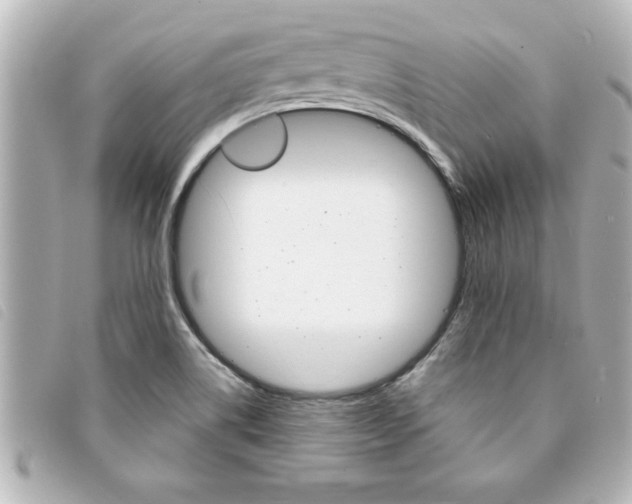 X0000094201514200710260901