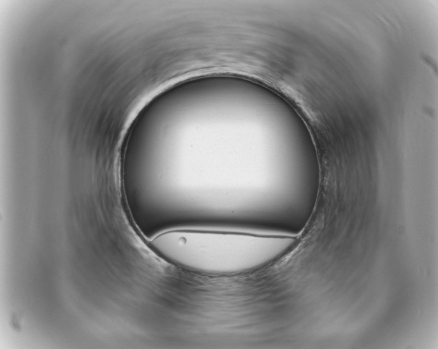 X0000094201516200710260901