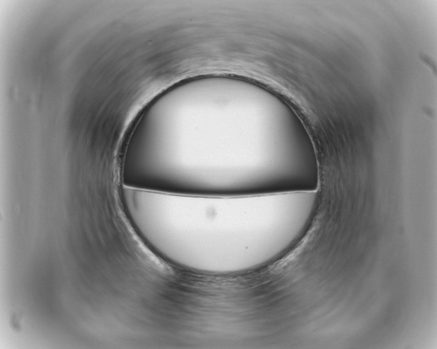 X0000094201517200710260901