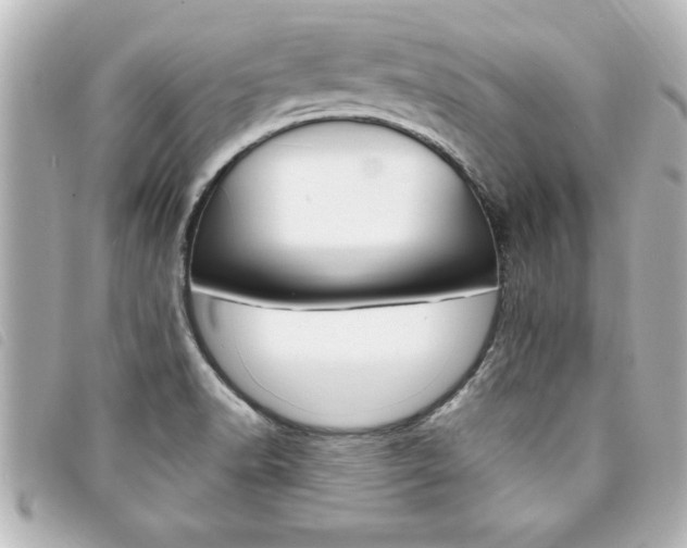 X0000094201518200710260901