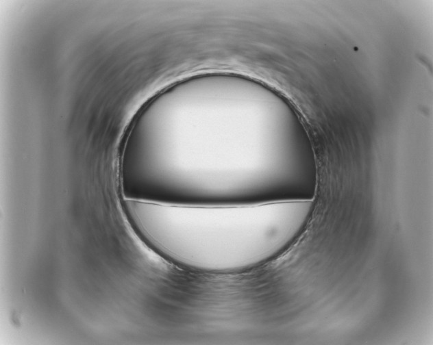 X0000094201519200710260901