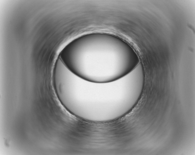 X0000094201520200710260902