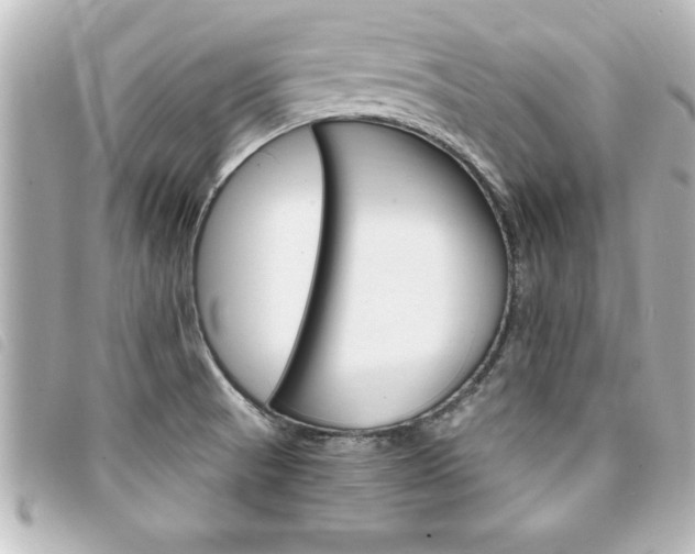 X0000094201521200710260902