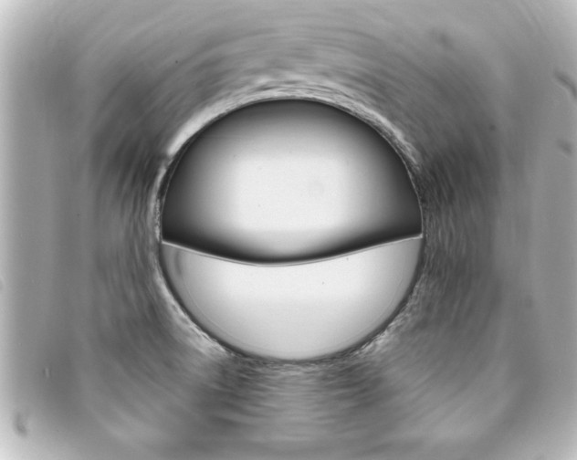 X0000094201522200710260902
