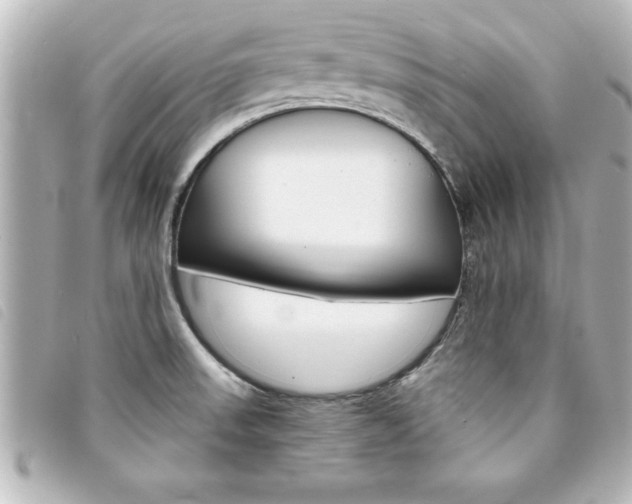 X0000094201523200710260902
