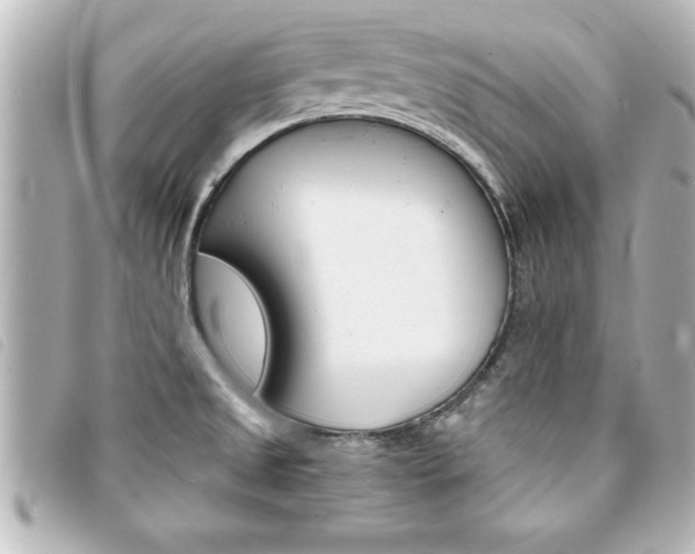 X0000094201525200710260902