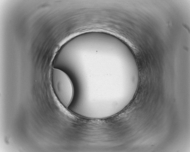X0000094201526200710260902