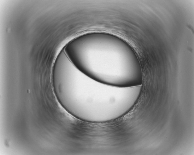 X0000094201527200710260902