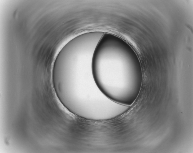 X0000094201528200710260902