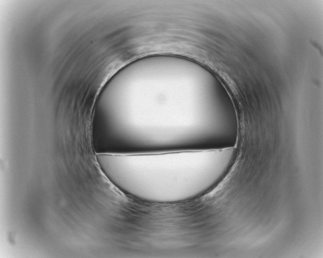 X0000094201529200710260902