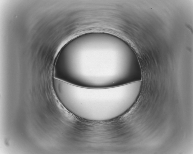 X0000094201530200710260902