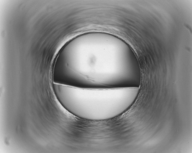 X0000094201531200710260902