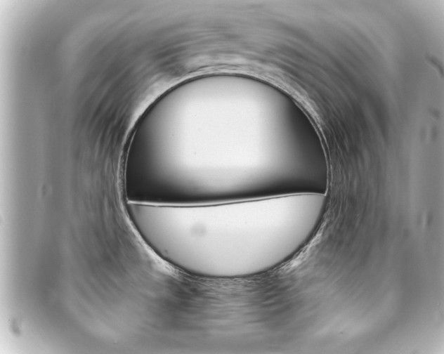 X0000094201533200710260902