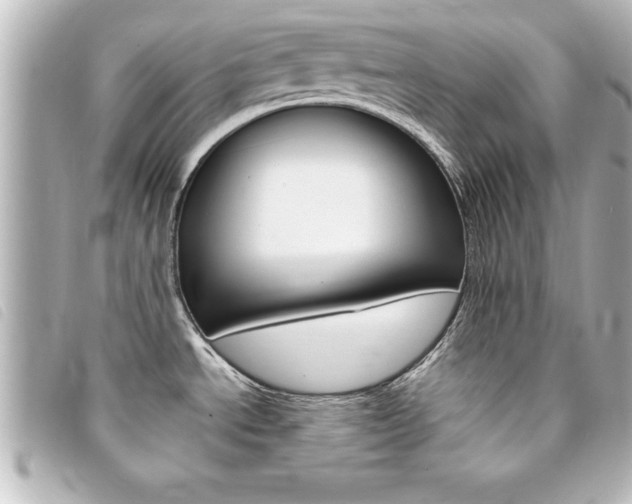X0000094201534200710260902
