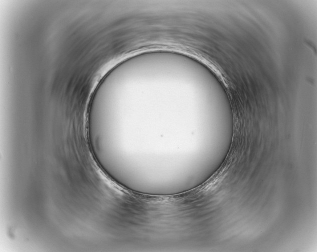 X0000094201535200710260902