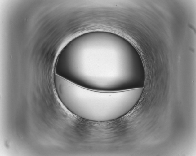 X0000094201536200710260902
