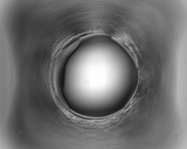 X0000094200001200710261201