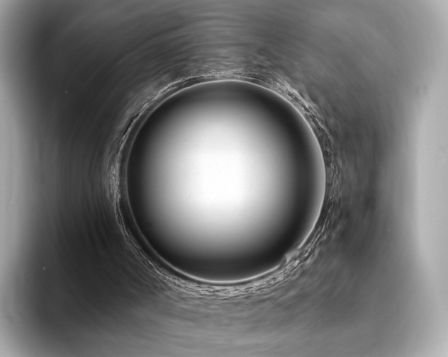 X0000094200002200710261201