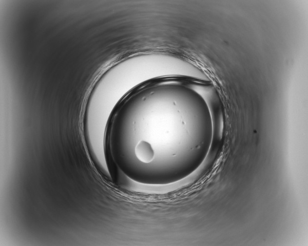 X0000094200003200710261201